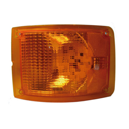 486 CUARTO CAMIÓN DINA Y FAMSA   19 LED